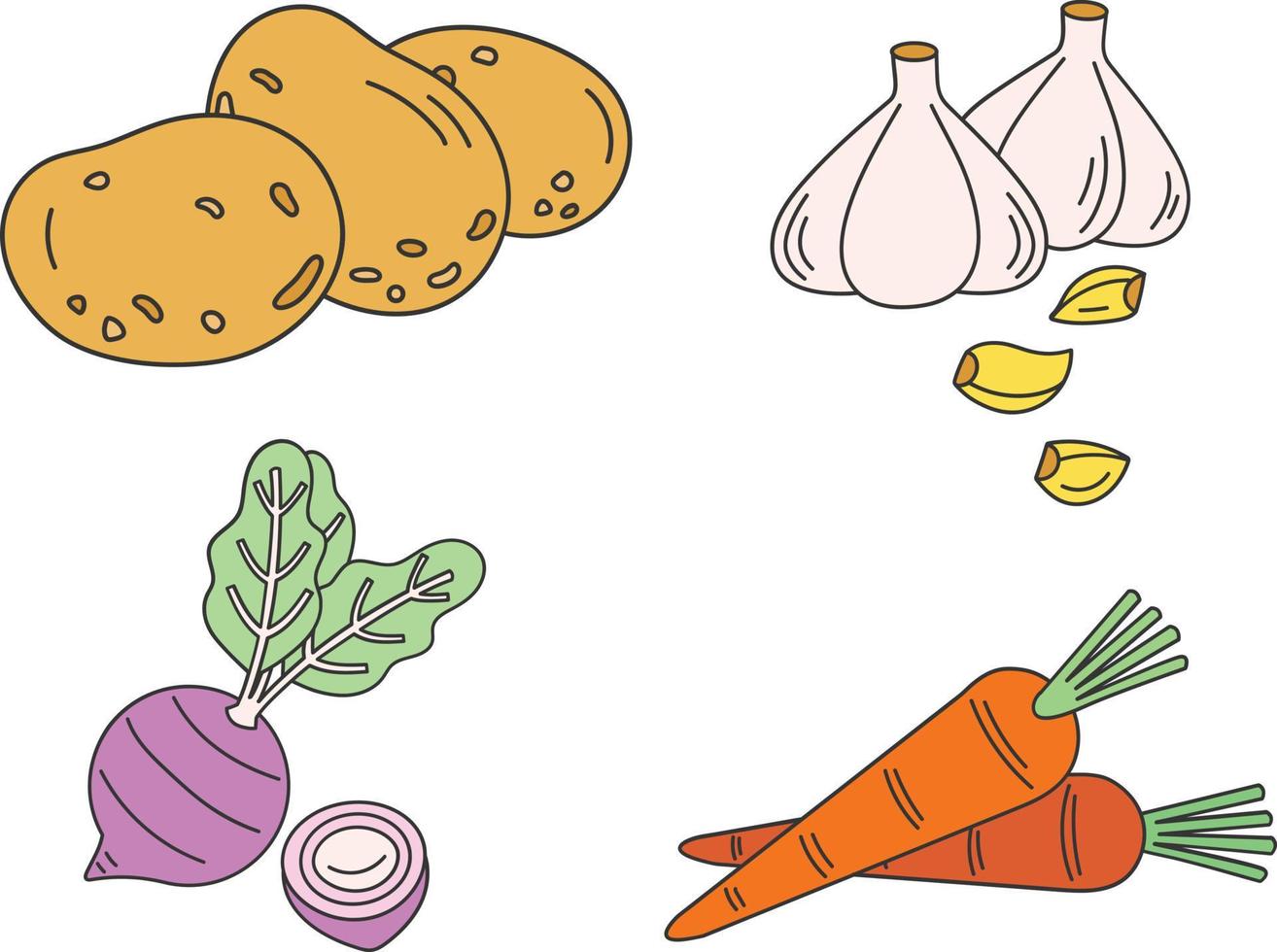 Vegetables set. Carrot, potato, onion,  and garlic. Vector illustration