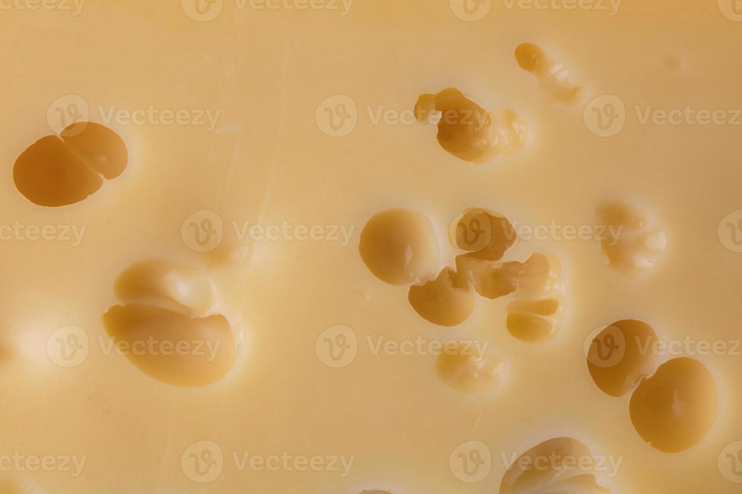 Cheese texture with large holes. photo