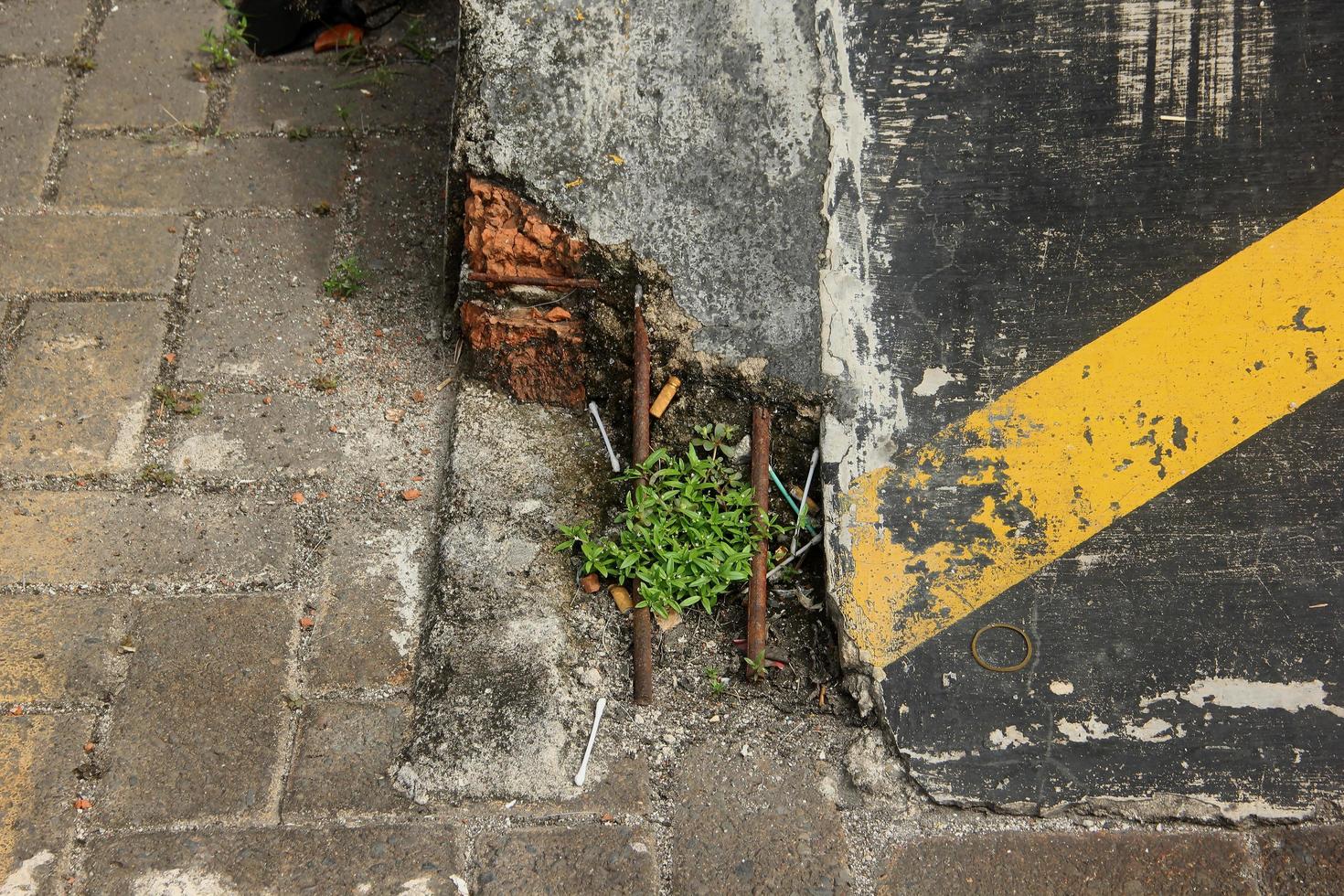 agrietado roto lado caminar diapositiva Fundación con visible hierro Fundación plantado en ladrillo suelo piso exterior. aislado foto en paisaje modelo.