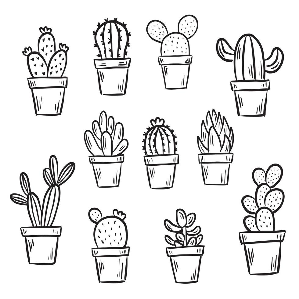 Set of hand drawn cactus in a pot line doodle natural botanical decoration vector