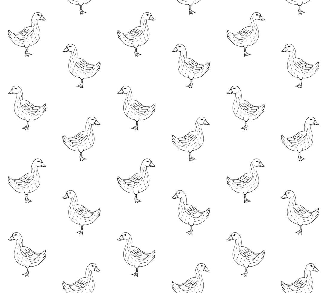 Vector seamless pattern of hand drawn duck