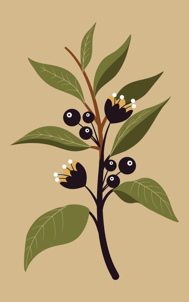 botánico maravillas un colección de maravilloso planta ilustraciones vector