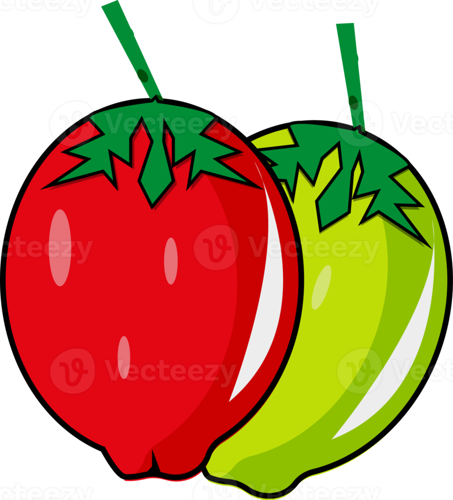 fruit illustratie Aan transparant achtergrond png