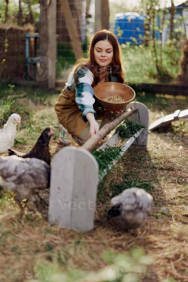 mujer granjero sonrisas alimenta aves pollos orgánico comida para pájaro salud y bueno huevos y cuidado para el ambiente, puesta de sol ligero foto