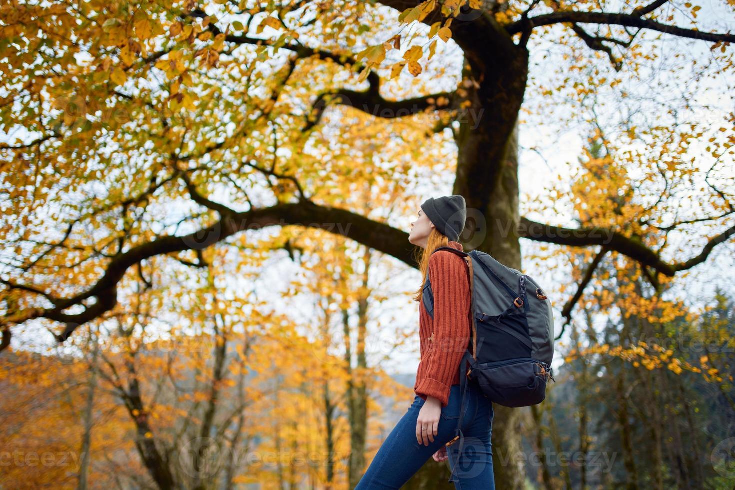 un mujer en un rojo suéter con un mochila camina en un otoño parque en el tarde en naturaleza foto