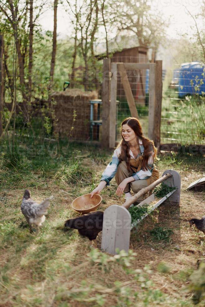 un mujer trabajos en un granja y alimenta su pollos sano alimento, poniendo joven, orgánico césped en su alimentadores a alimentar ellos foto