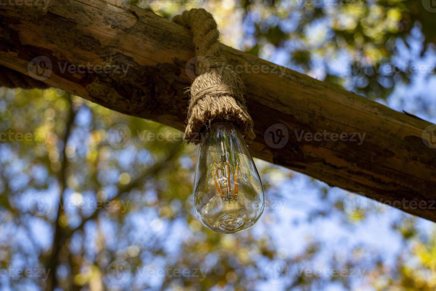 The vintage incandescent lamp is hanging from a tree in the forest. Selective focus. photo