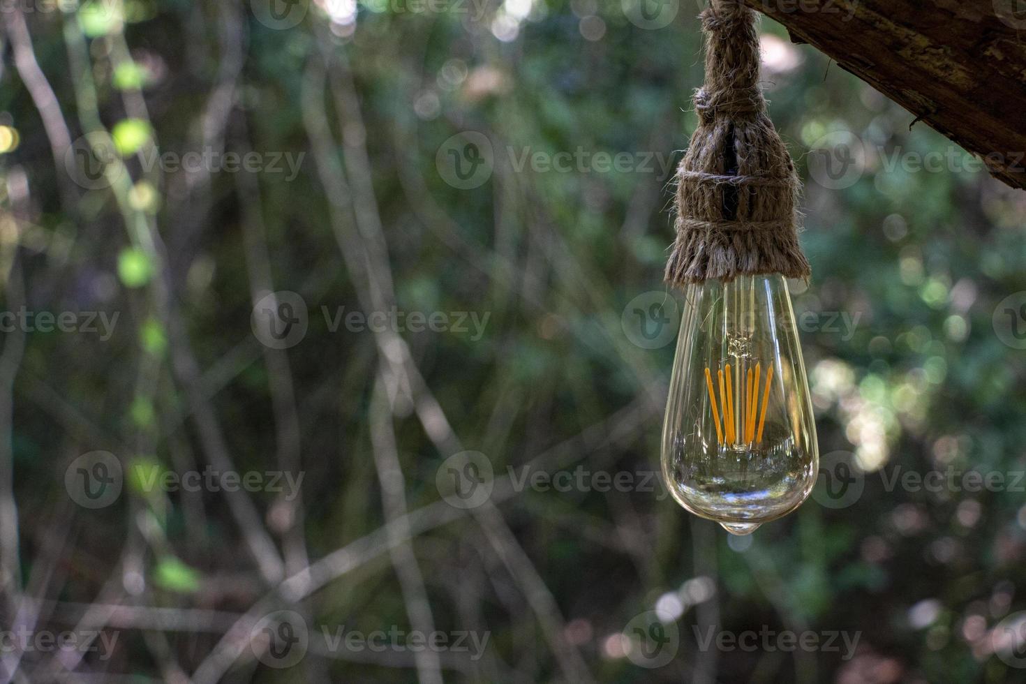 The vintage incandescent lamp is hanging from a tree in the forest. Selective focus. photo
