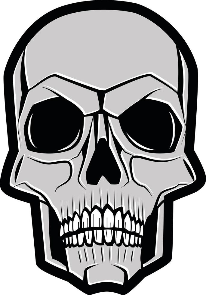 Vector Image Of A Human Skull In Grey Color
