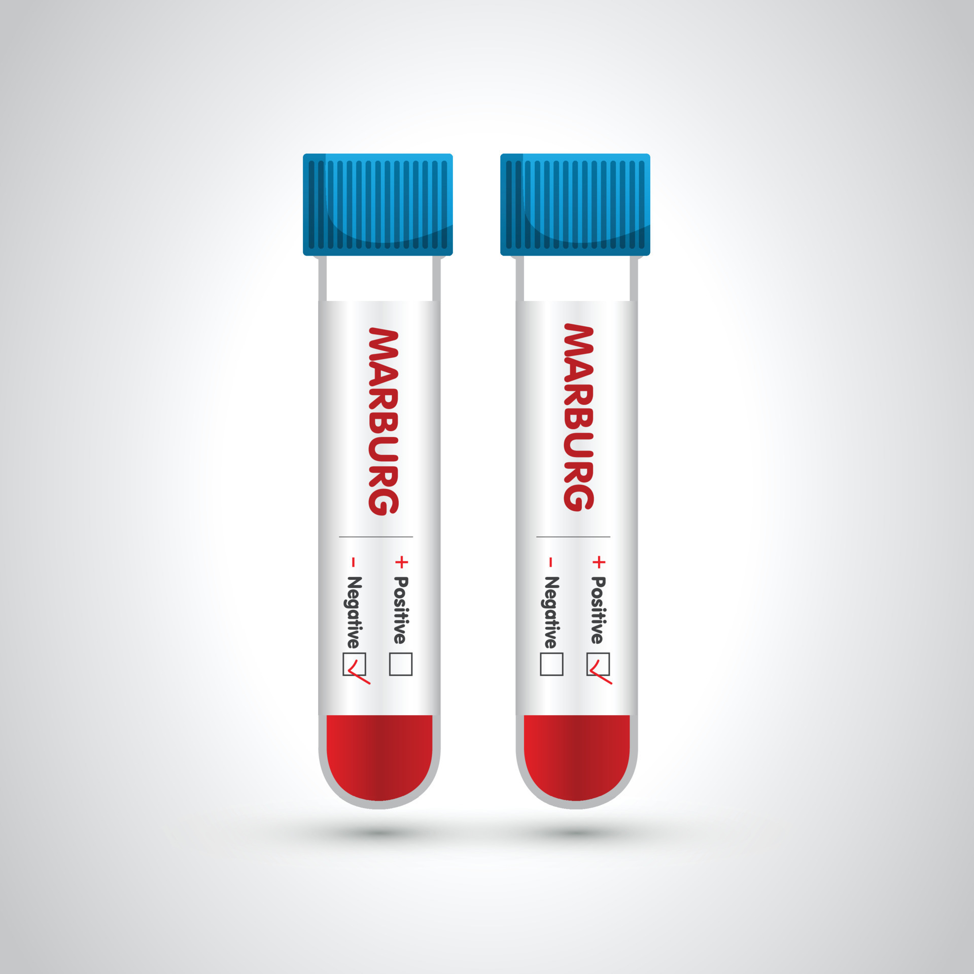 Blood sample tube for Marburg virus, Blood in the tube icon. vector illustration. the vial and test kit. It be used in medical materials, banners, posters, and magazines.