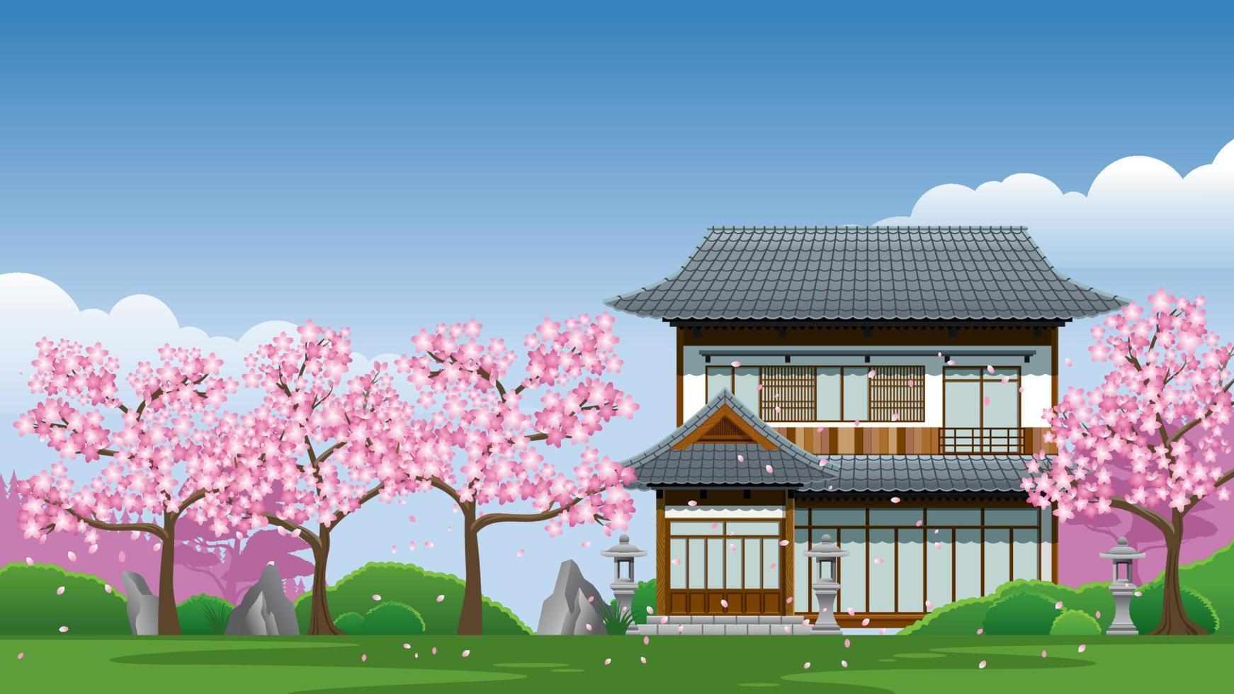 japan traditional house at cherry blossom season vector