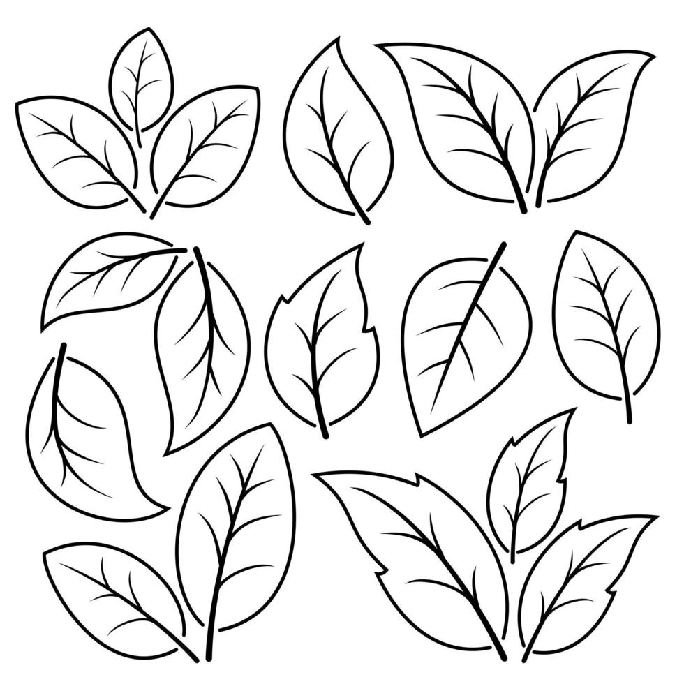 Set of leaf icon, black line on white background vector