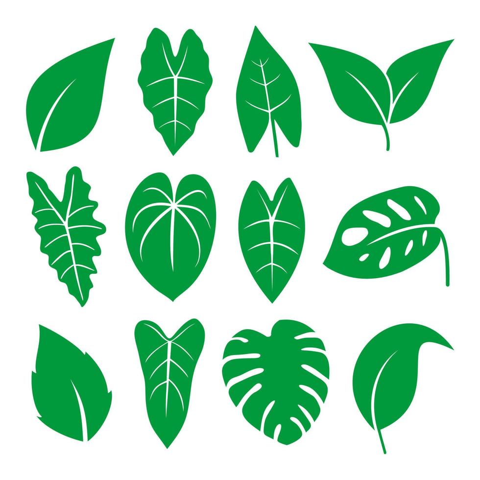 Set of various and cute of green leaves isolated on white background vector