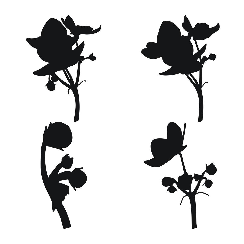 Vector real trendy modern silhouettes violet, viola. Freehand drawing plants, herbs.