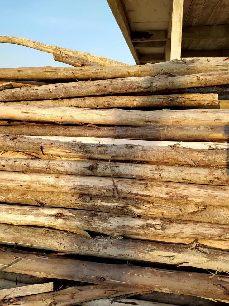 Close-up of a pile of wood under the soft evening sun. photo