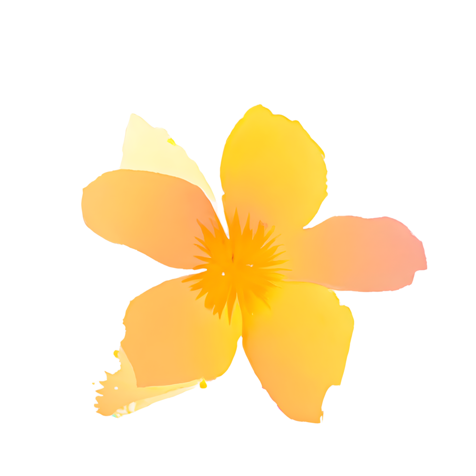 fiore acquerello carino png