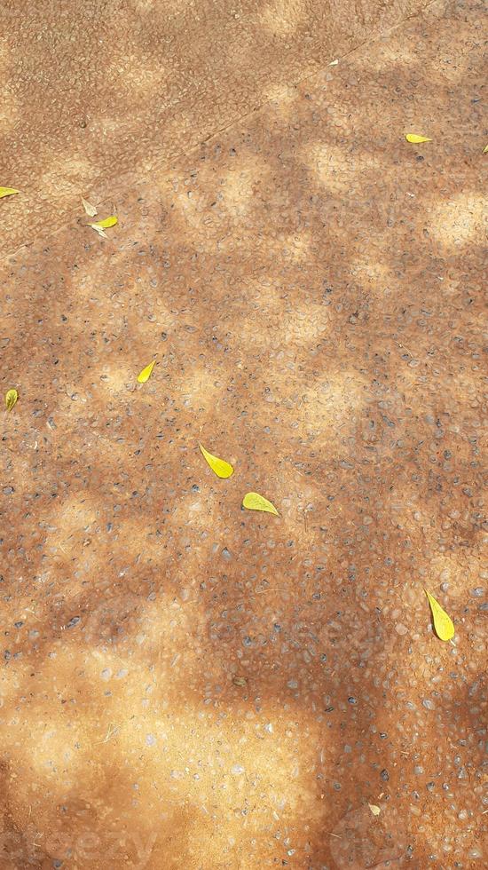Background photo of several yellow leaves scattered on brown ground