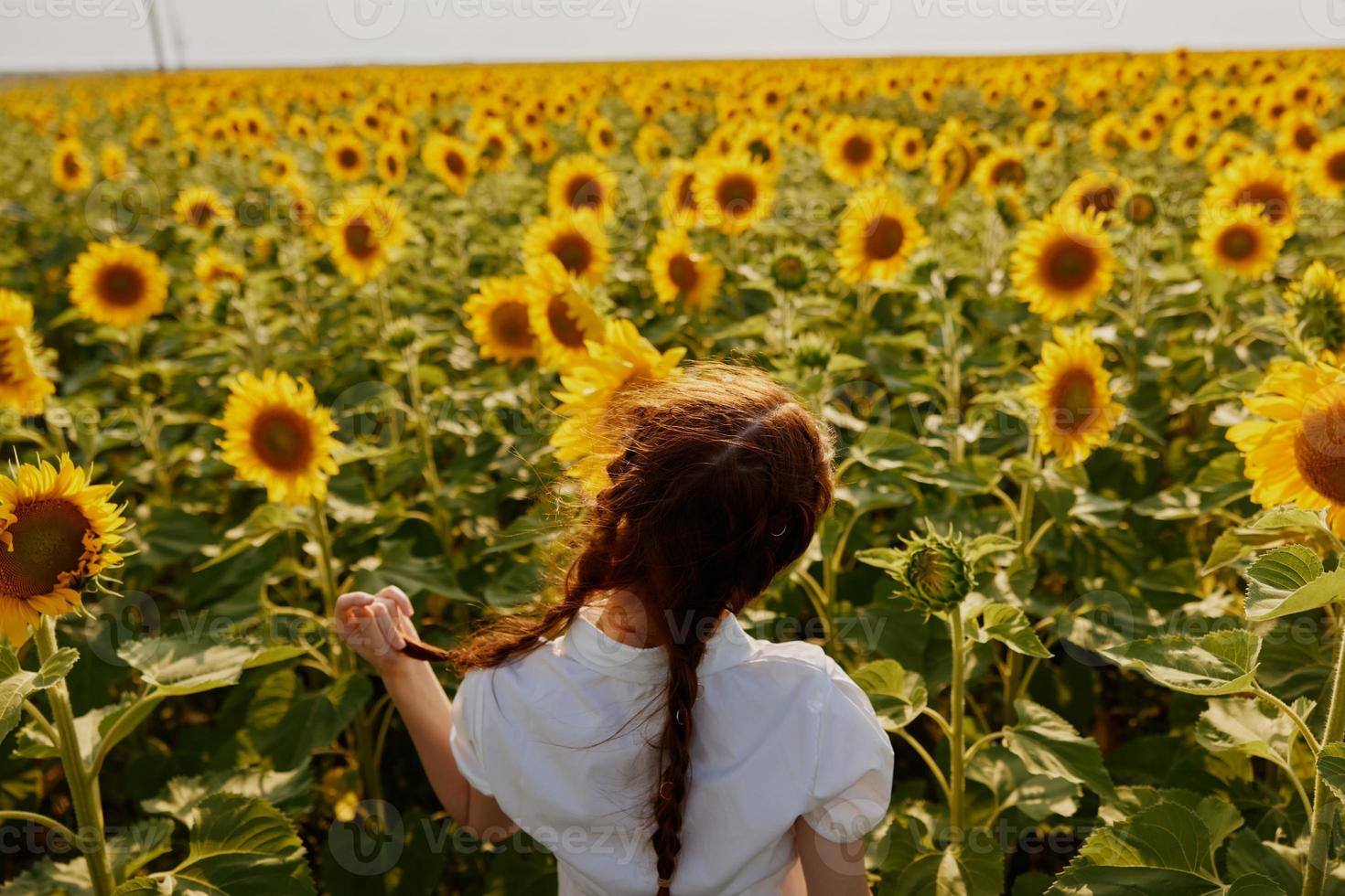 woman with pigtails in a field of sunflowers countryside photo