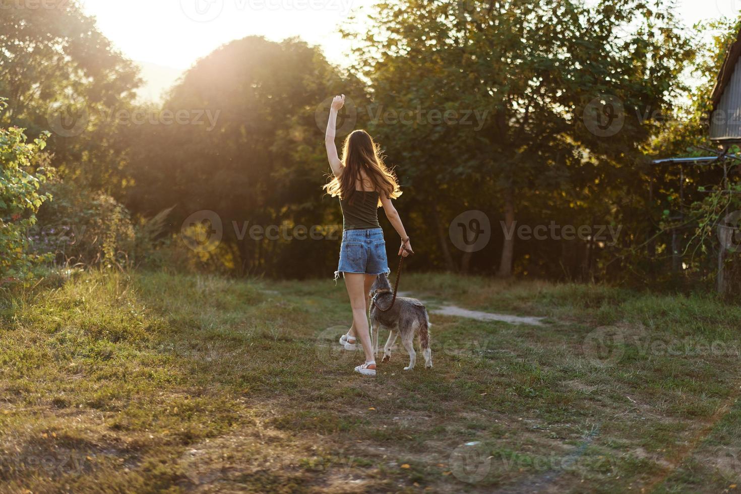 A woman runs her back to the camera with a dog in the forest during an evening walk in the forest at sunset in autumn. Lifestyle sports training with your beloved dog photo