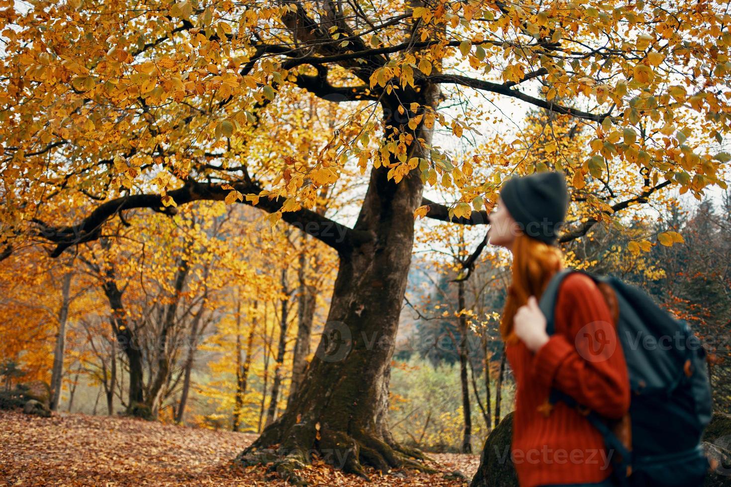 mujer en un suéter camina en el parque en otoño naturaleza paisaje Fresco aire modelo mochila foto