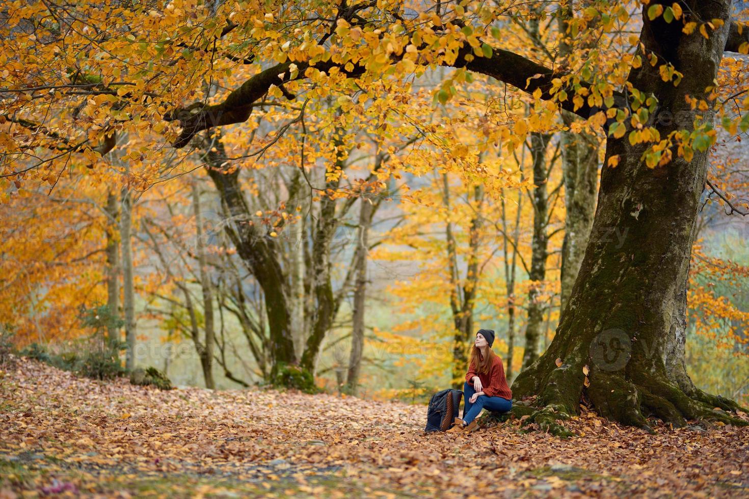 woman hiker under a tree in autumn forest landscape yellow leaves autumn photo