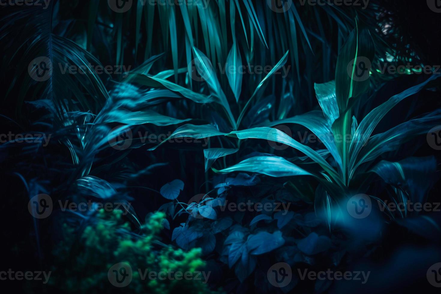 Tropical leaf forest glow in the dark background with copy space. High contrast concept photo