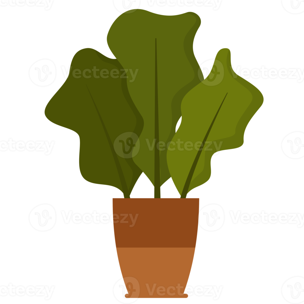 Abstract Leaves Potted Plant png