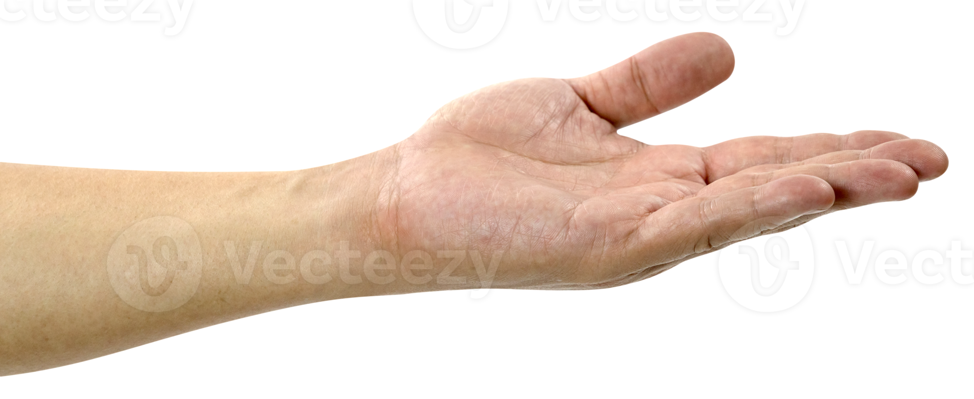 open the palm of the hand isolated png