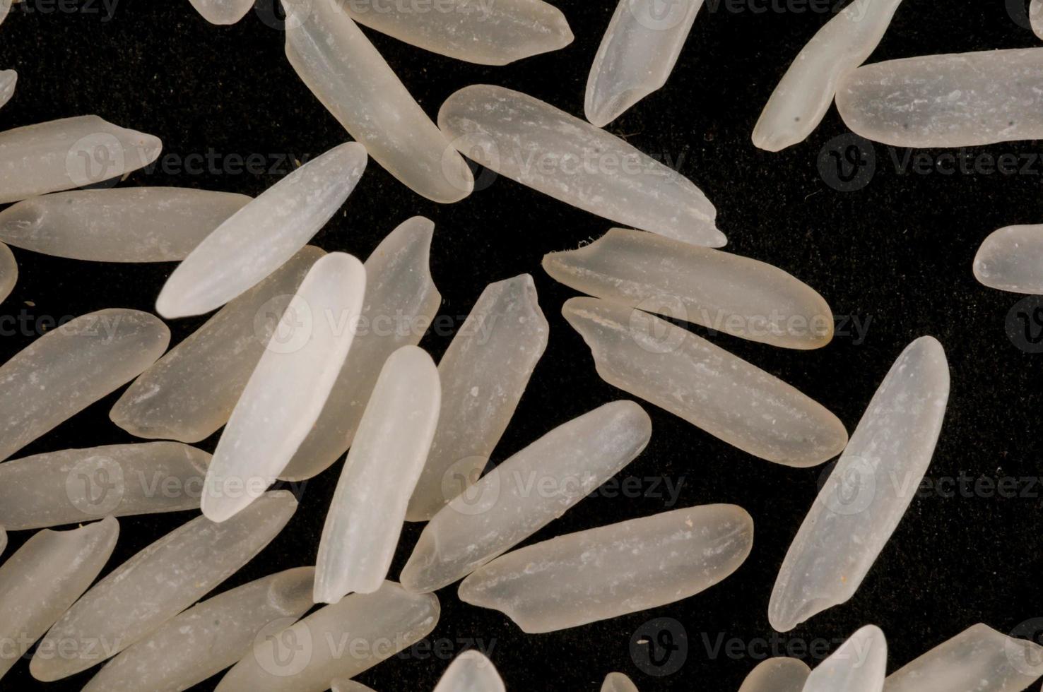 Grains of rice photo