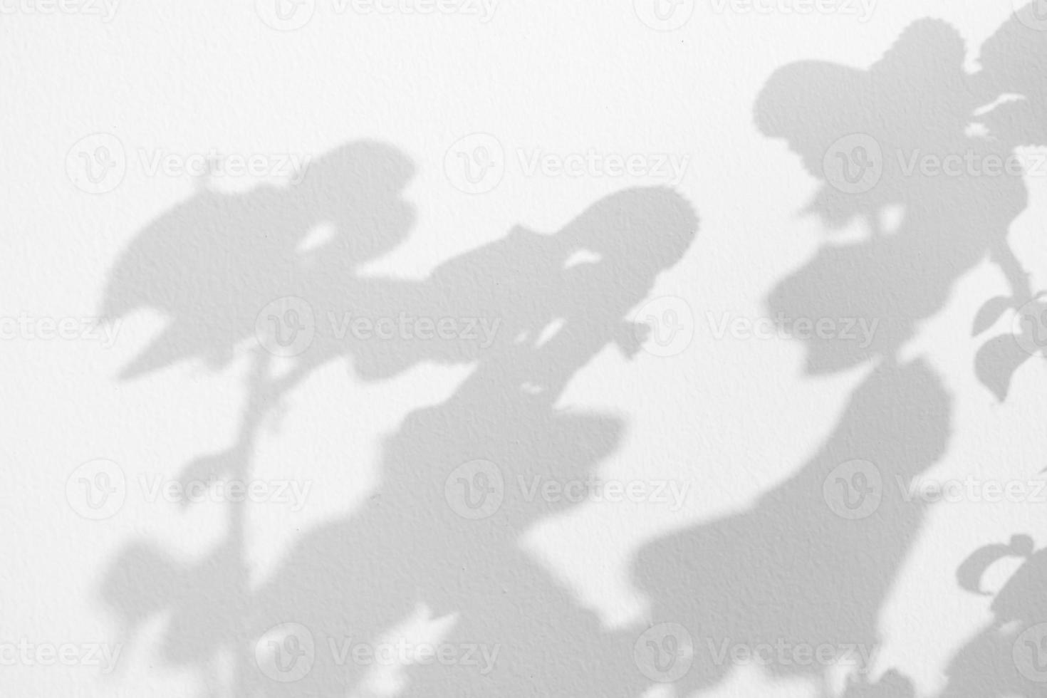 Abstract natural tree leaves shadow on white wall background photo