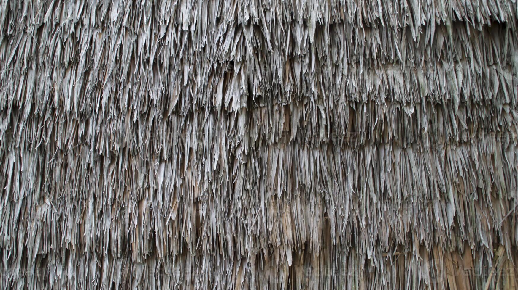 Thatch ceiling or straw roof texture from outside used by traditional