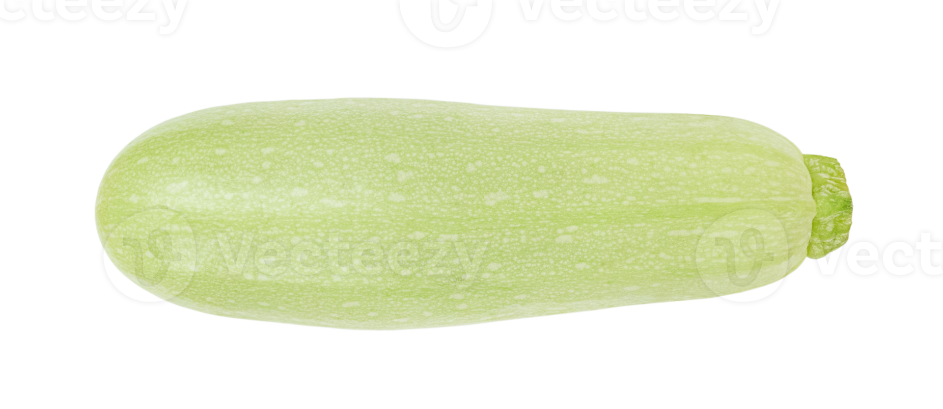 One zucchini courgette isolated on transparent background. Stock photo png