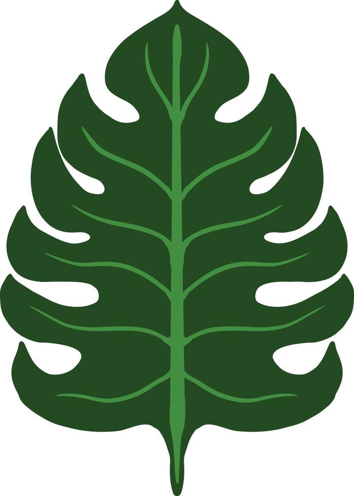 Leaf plant garden vector illustrations