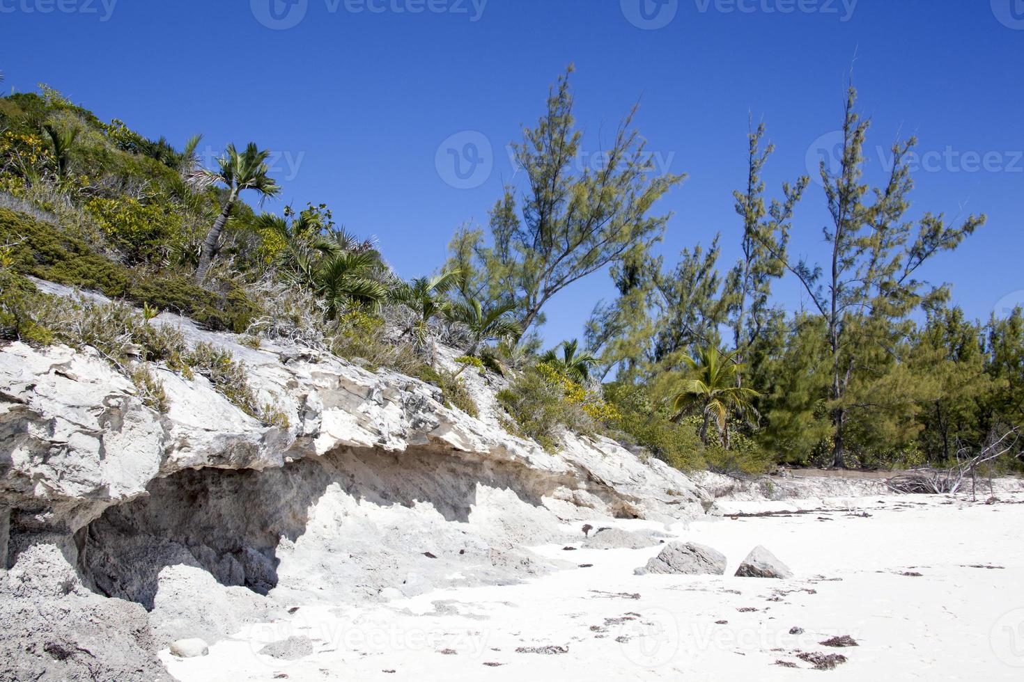 Half Moon Cay Island Eroded Beach Rocks And Trees photo