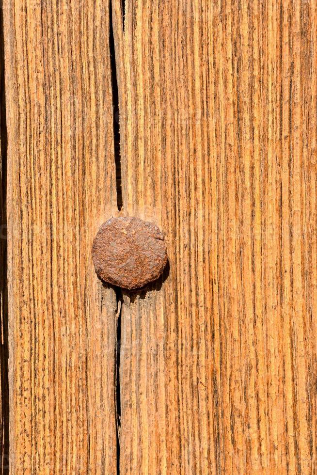 un uña martillado dentro madera foto