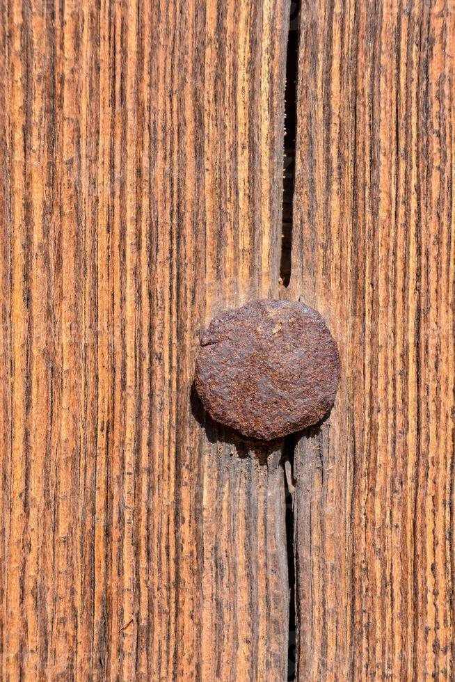 un uña martillado dentro madera foto