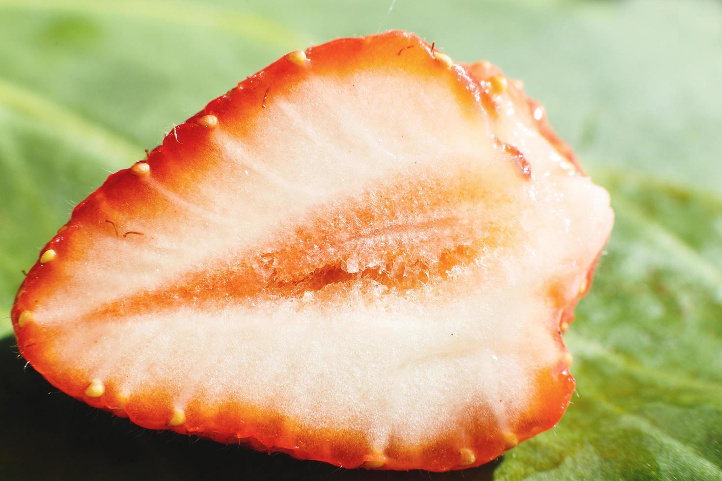 strawberry cut in half. strawberry core. half of a strawberry on a green background photo
