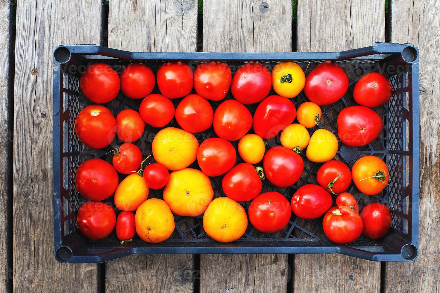 a lot of tomato in a box on a wooden background photo