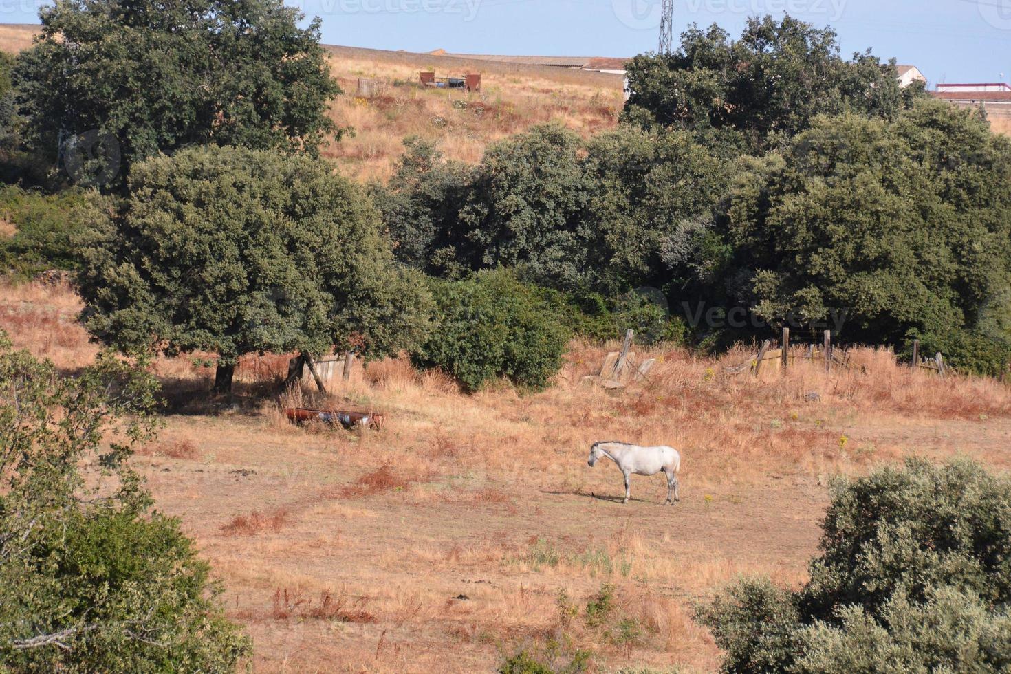 Scenic rural landscape photo