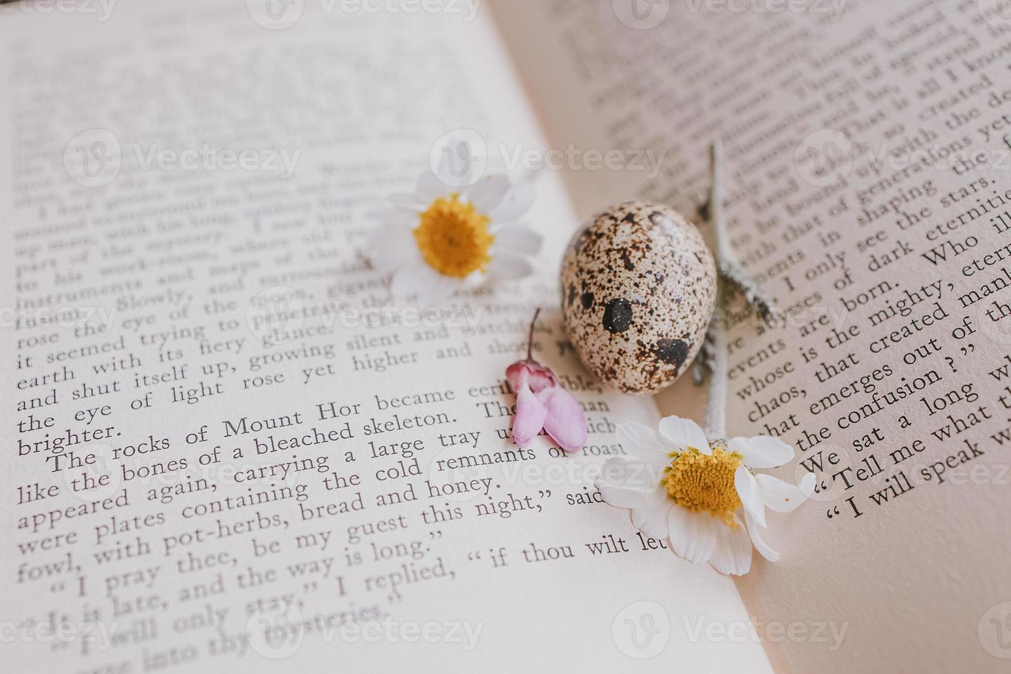 close-up of a  little spring daisy flower and chamomile quail egg on the background of an old book photo