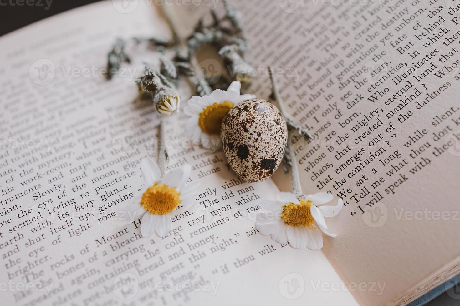 close-up of a  little spring daisy flower and chamomile quail egg on the background of an old book photo