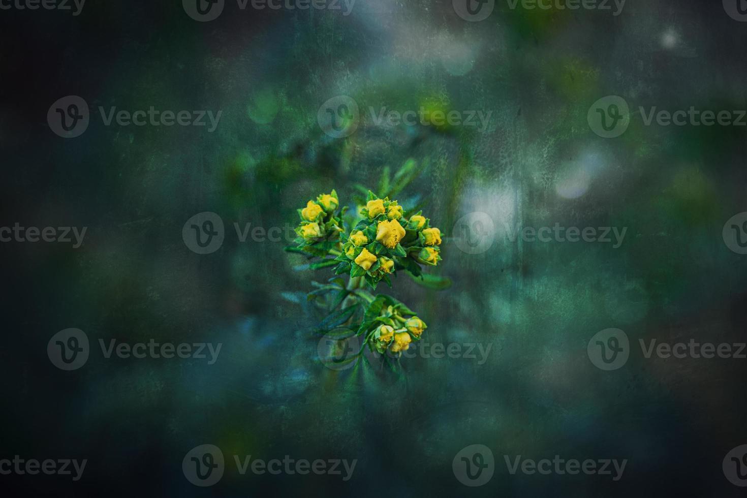 little yellow spring flower on a background of a green garden close-up photo
