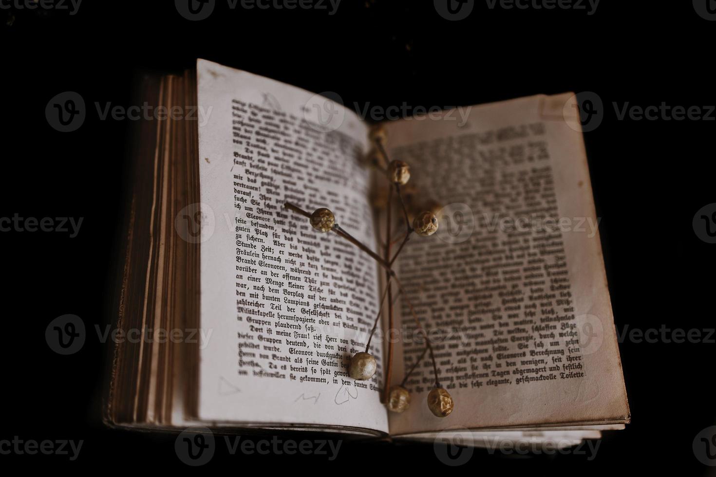 ruit of Melia on the background of the old book. Closeup. Background. vintage photo