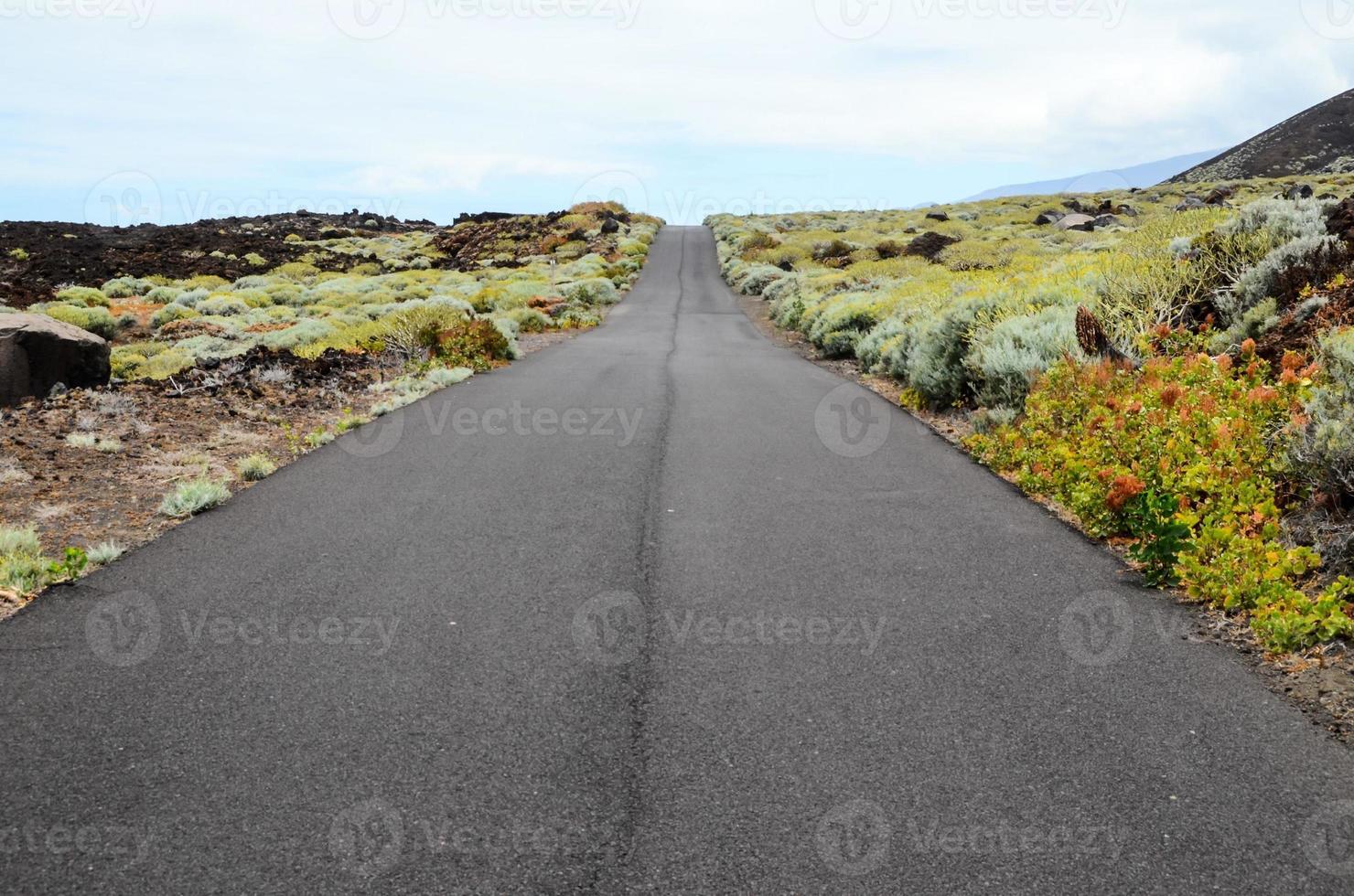 Road in the countryside photo