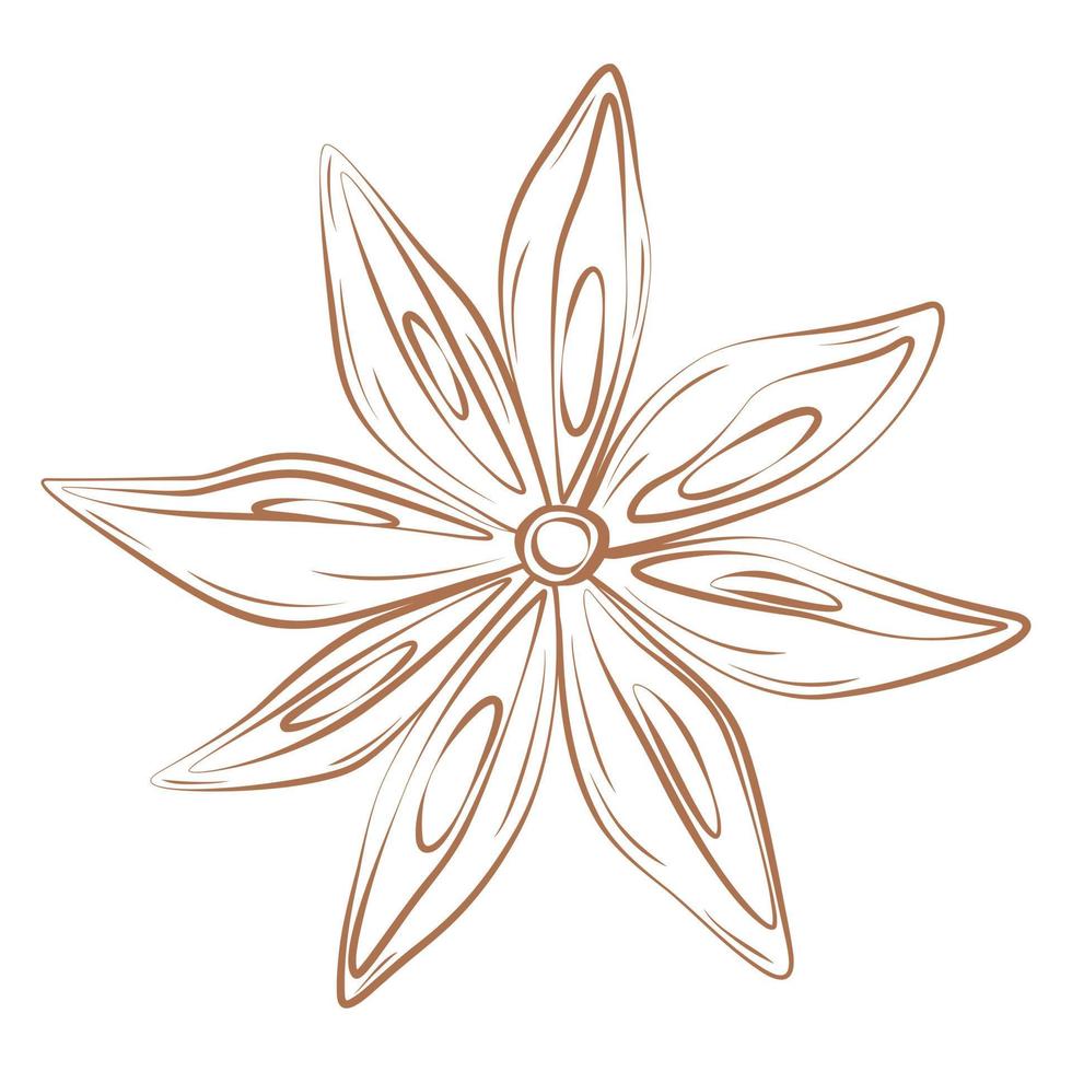 Anise sketch in trendy brown shade. Spicy spice for coffee or mulled wine. Sticker. Icon. Isolate. vector