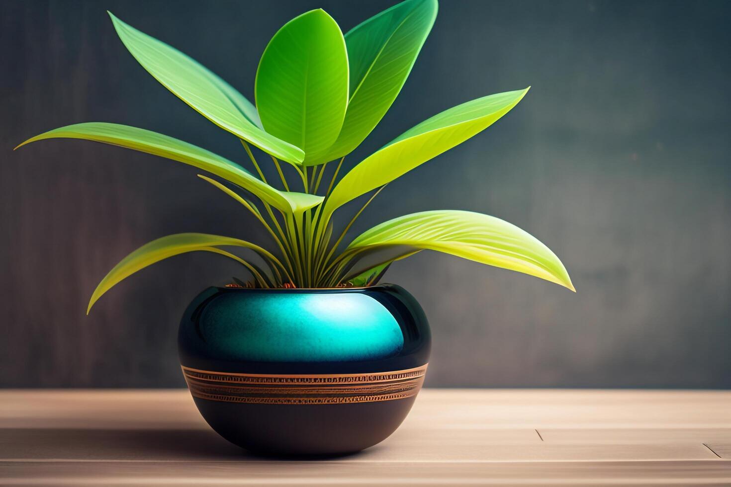 Green plant in vase on wooden table with black wall background photo