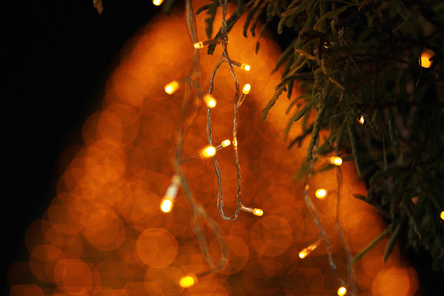 Bokeh lights background. Abstract multicolored light.Christmas concept. photo