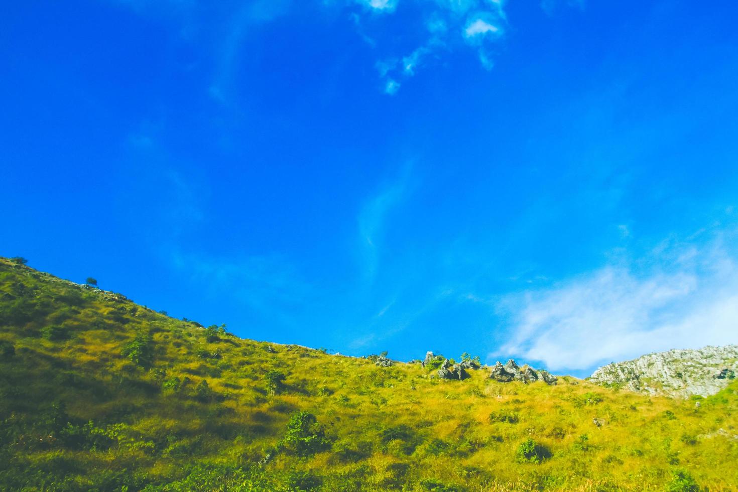 Beautiful Landscape of rocky Limestone Mountain and green forest with blu sky at Chiang doa national park in Chiangmai, Thailand photo