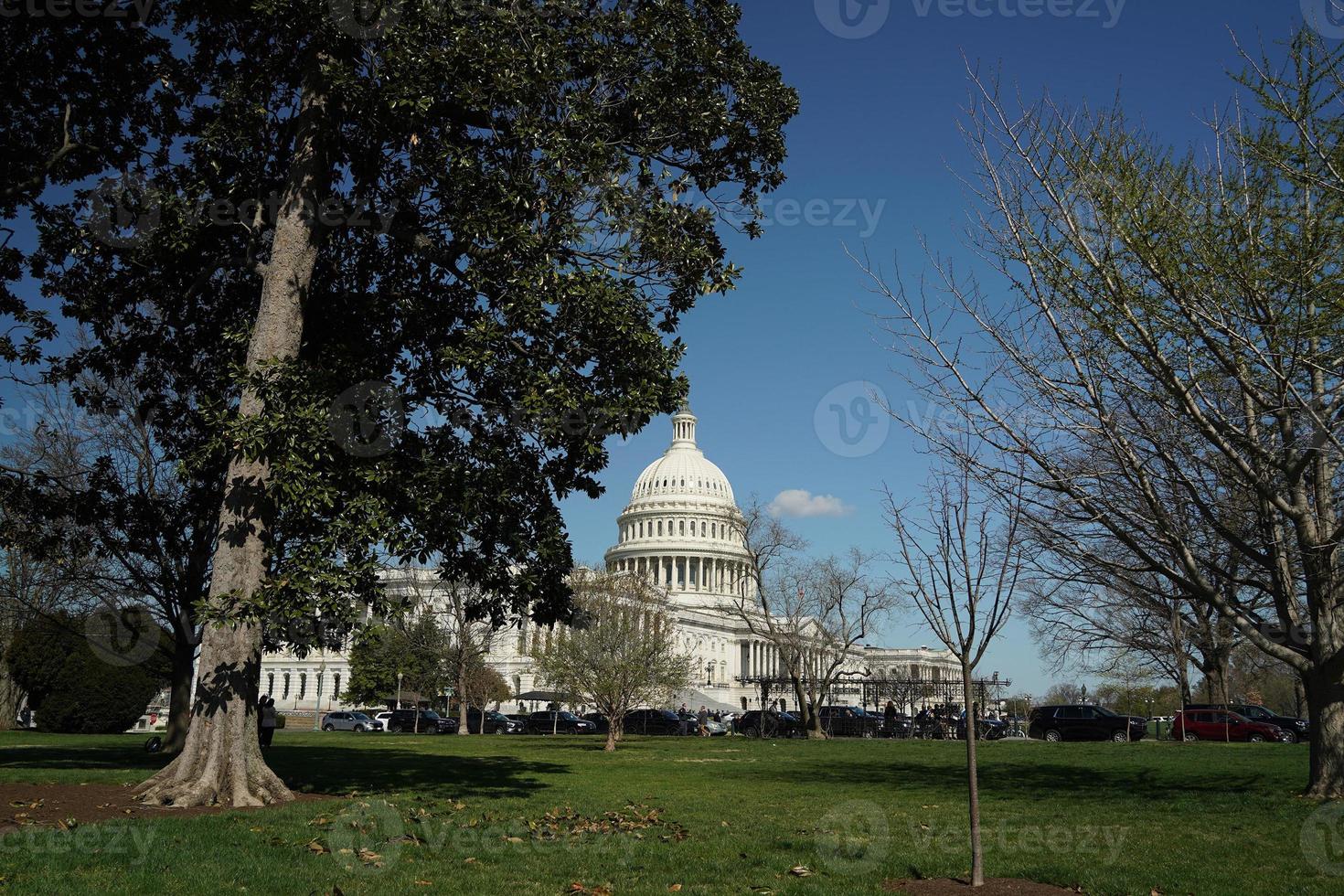 washington dc capitol detail throught tree branches photo