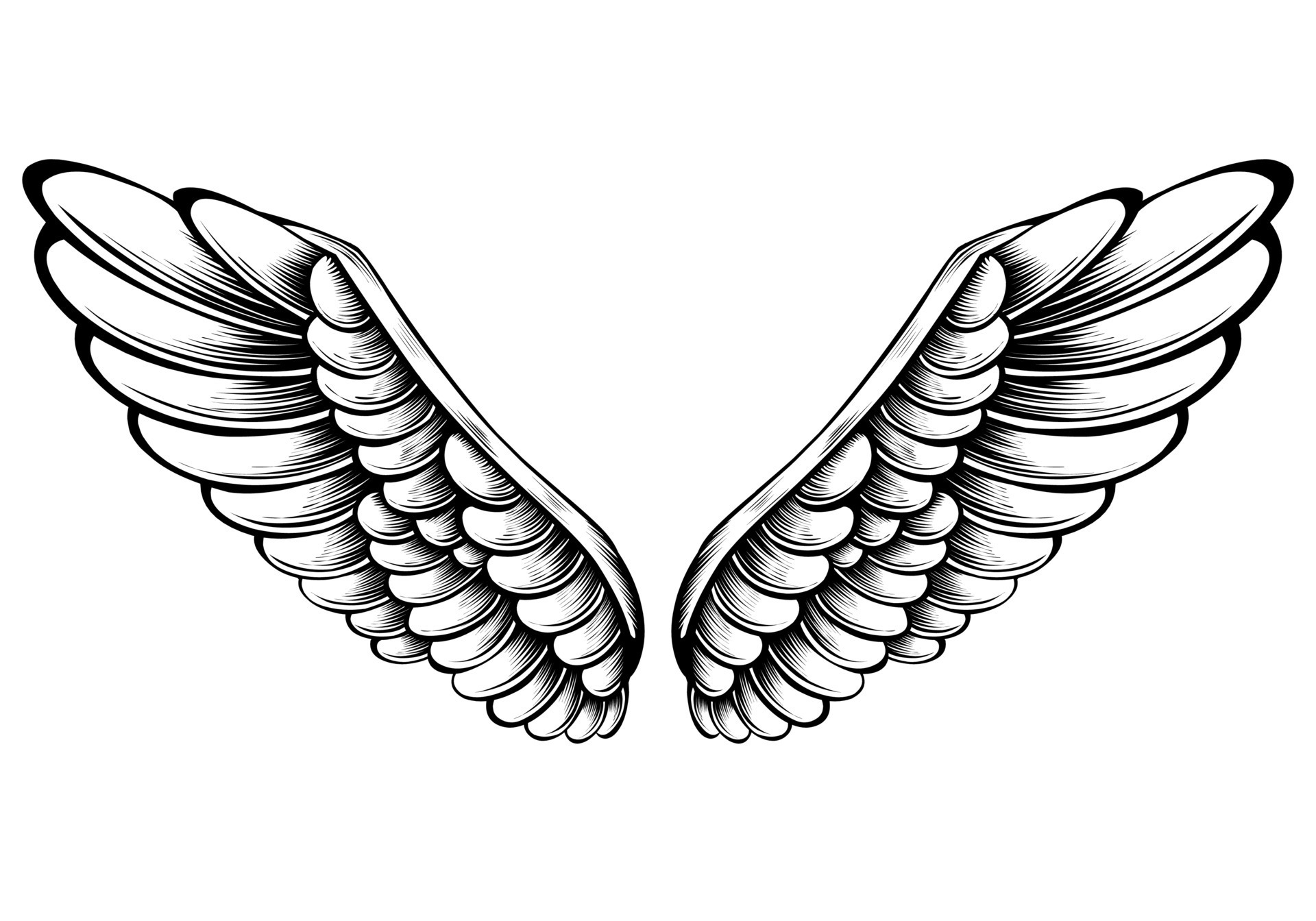 Doodle Hand Drawn Sketch Angel Wings Angel Feather Wing Bird Tattoo  Silhouette Linear Fly Winged Angels Flying Heaven Cartoon Vector Icons  Royalty Free SVG Cliparts Vectors And Stock Illustration Image  136794665